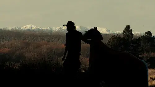 The True Story of Billy the Horse