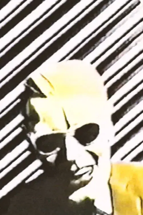 The Max Headroom Pirate Incidents