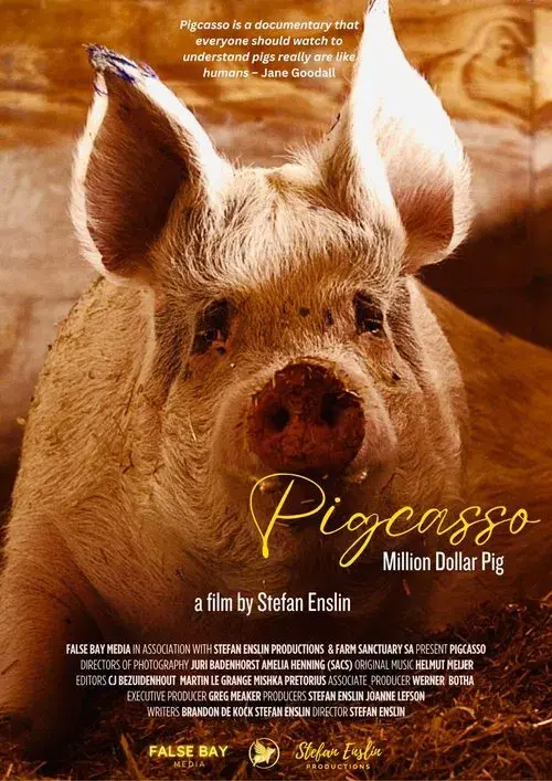Pigcasso: Million Dollar Pig