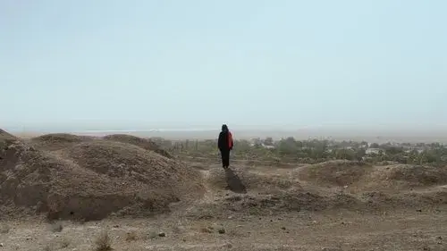 The Last Ambassador