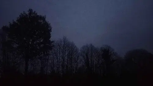 FRΛIN