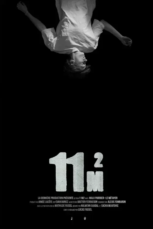 11m2