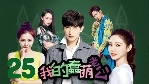 我的蠢萌老公