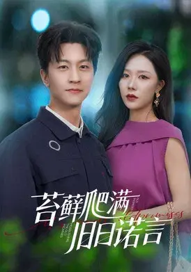 苔藓爬满旧日诺言