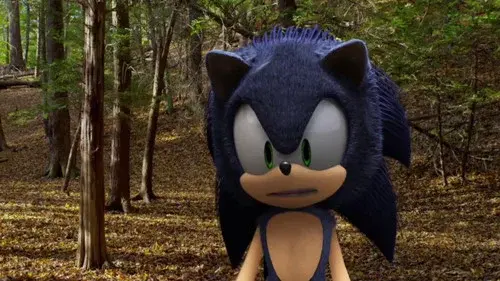 Sonic