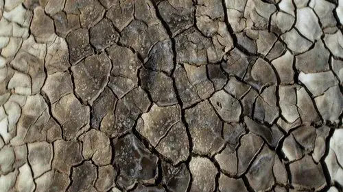 What Does the Mud Whisper