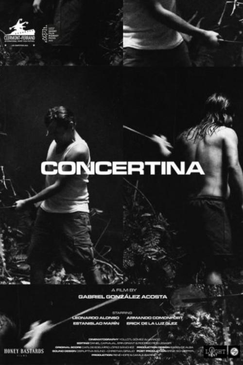 Concertina