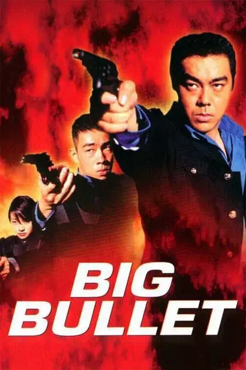 衝鋒隊:怒火街頭