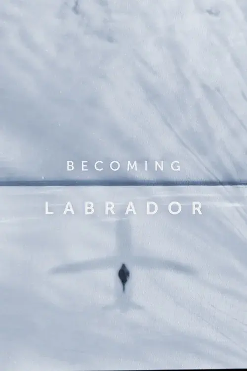 Becoming Labrador