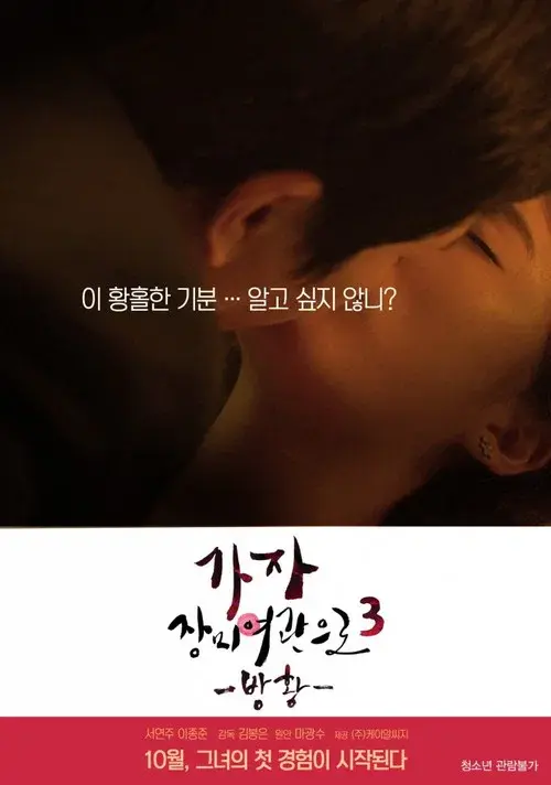 가자! 장미여관으로 3: 방황
