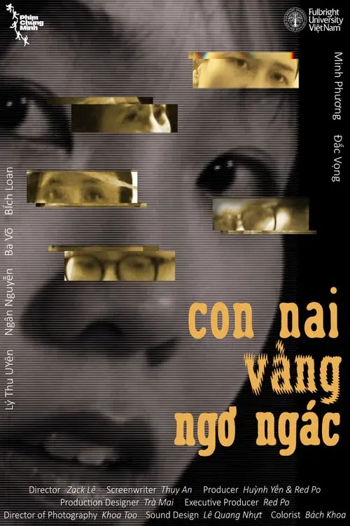 Con Nai Vàng Ngơ Ngác