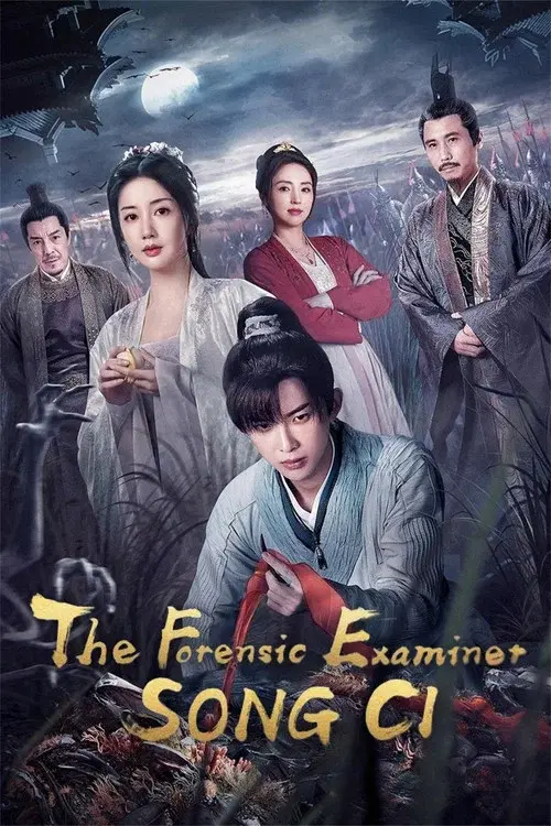 宋慈韶华录
